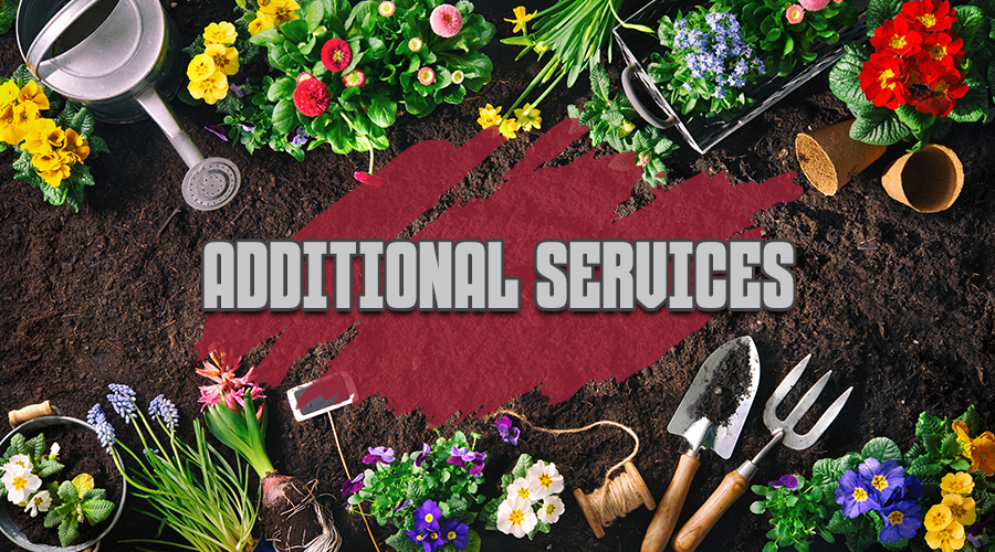 Additional Services