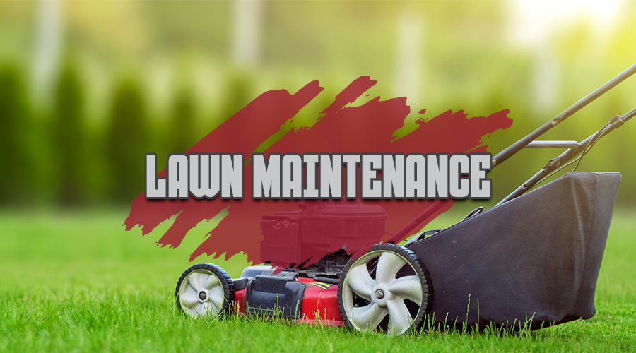 Lawn Maintenance