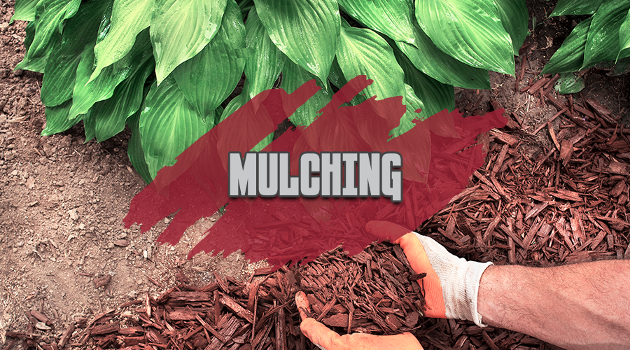 Mulching
